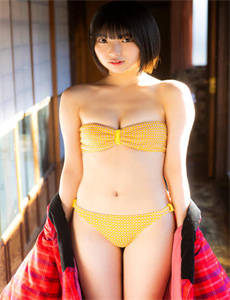 《布莉安娜爱珍娜-绫见ひかる》