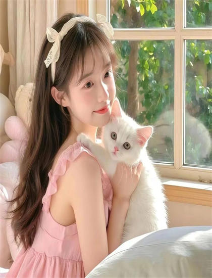 深入的影视评论：《爱在北纬44度》的艺术价值与娱乐性平衡